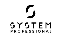 System Professional